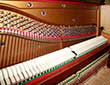 Klavier-Grotrian-Steinweg-128-Wurzelnuss-10381-6-b